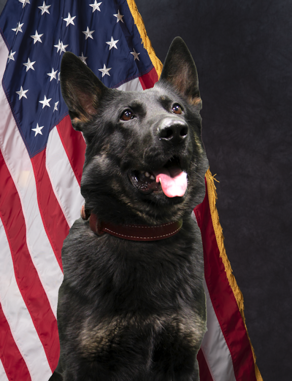 CSPD K9 Creed