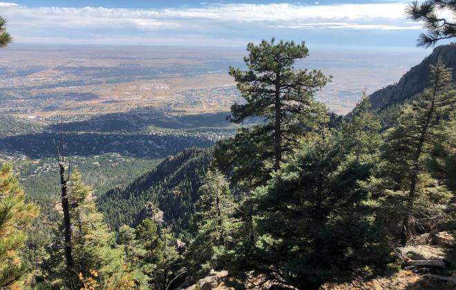 view towards the plains from a forested ridge.