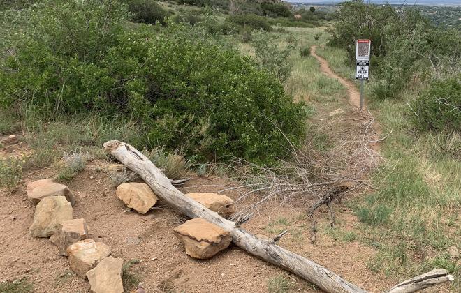 An unofficial trail that has been blocked by branches, a row of rocks and a log.