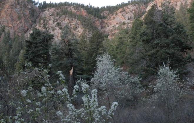 North Cheyenne Cañon